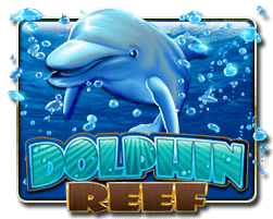 MrLucky88 - Dolphin Reef - mrlucky88a