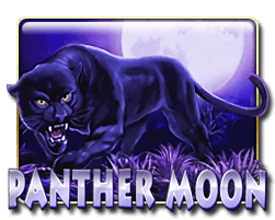 MrLucky88 - Panther Moon - mrlucky88a